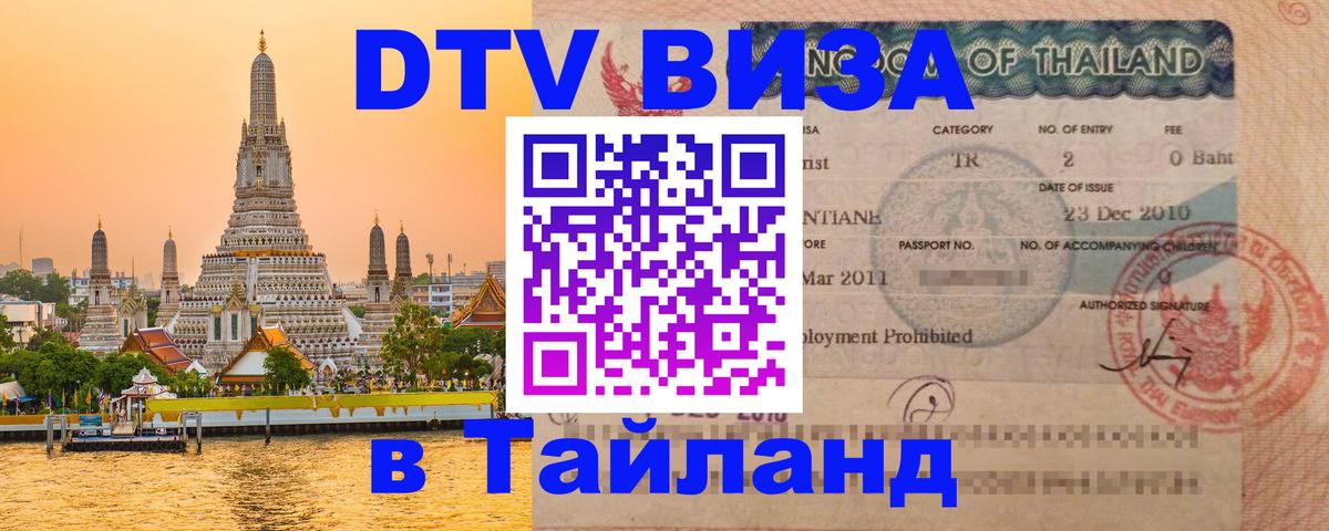 Сколько стоит DTV виза — актуальные цены, оформление даже без документов - Рязань  07.01.2026 